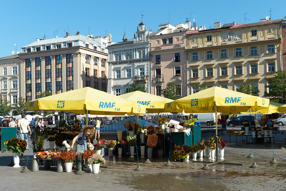 the main market square