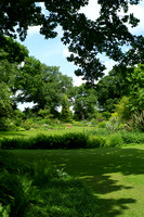 Beth Chatto's garden