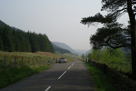 the Ettrick Forest