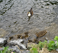 a family group on the Caledonian Canal