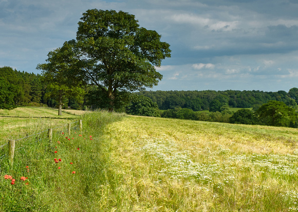 Derbyshire Landscapes, 2014 2015