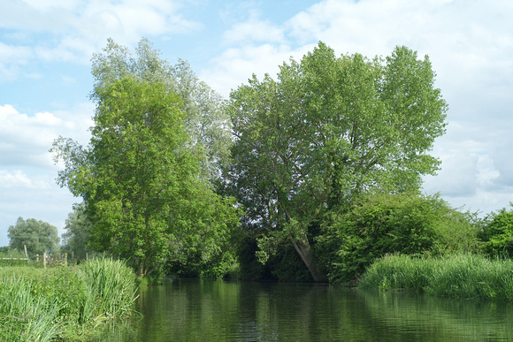 the River Stour