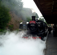 The Severn Valley Railway, June 2009